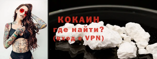 мет Протвино
