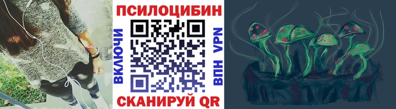 Галлюциногенные грибы Psilocybe  Почеп 
